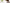 Adobestock 297281242