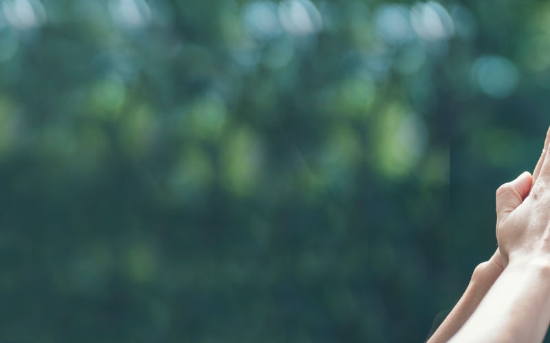 Streamlining Licensing, Skills & Standards | How Curtins Standardised Digital Delivery Across 14 Offices