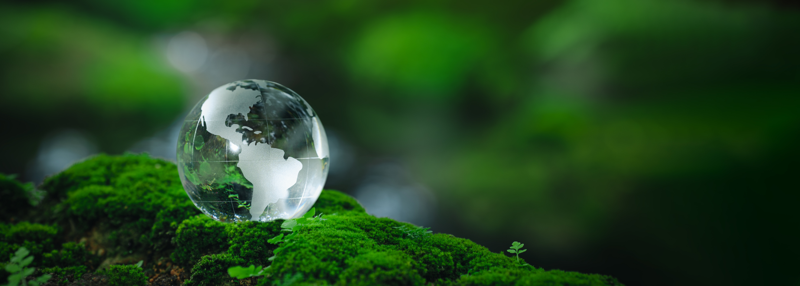 Webinars Symetri Co Uk