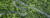 Paths to Net Zero | Insights, Technologies and Solutions