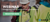 Enhance Area Takeoffs and Boost Your Project Efficiency