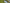 Green Facade (1)